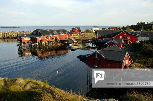 Rot gestrichene Holzhäuser Rorbuer am Ufer in A Moskenesöy Lofoten Norwegen Holzhäuser