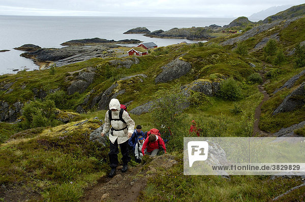 MR Hikers on a coastal path in the rain near Nesland Flakstadoya Lofoten Norway