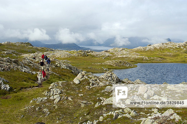 MR Hiking group on the path through the high fjell Vestvagoya Lofoten Norway