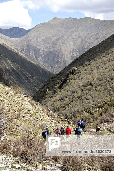 Trekking group descends through forested gorge with bushes Gen Do Tibet China