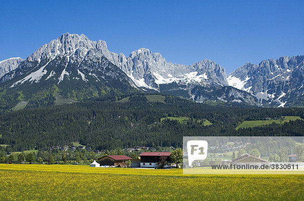 Ellmau at the Wilden Kaiser near Scheffau Tyrol Austria