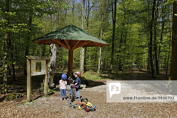Grünwald bei München Oberbayern Deutschland Sauschütt mit Waldlehrpfad Kinder mit dem Fahrrad