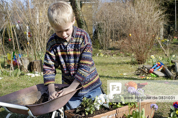 Sieben Jahre alter Junge beim Blumen einpflanzen im Frühling