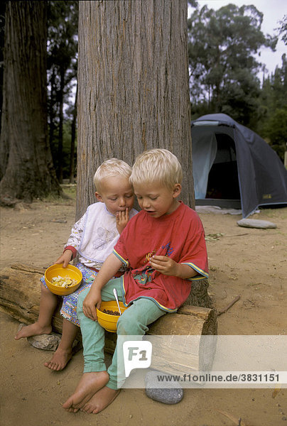 Kleine Jungen  zwei und vier Jahre  sitzen auf Baumstamm beim Zelten und essen Müsli  Zeltplatz in Südafrika  Afrika