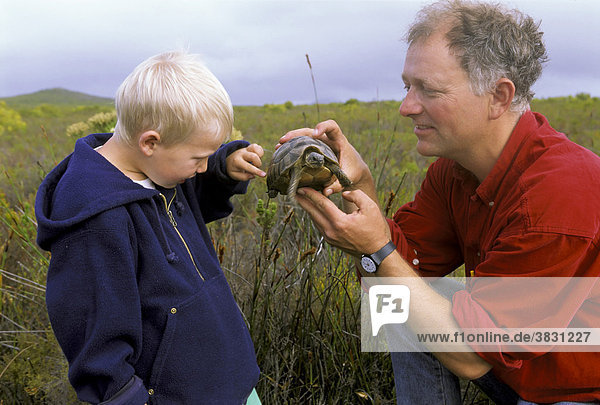 Vater hebt vier Jahre altem Jungen eine kleine Schildkröte zum Streicheln hin