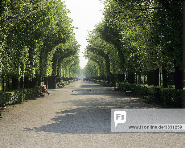 Avenue in the Schönbrunn Castle park Vienna - Austria