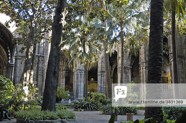 Kreuzgang der Kathedrale  Saeulengang  Kloster  Barcelona  Katalonien  Spanien