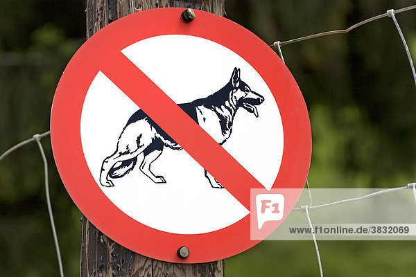 Signboard: no dogs