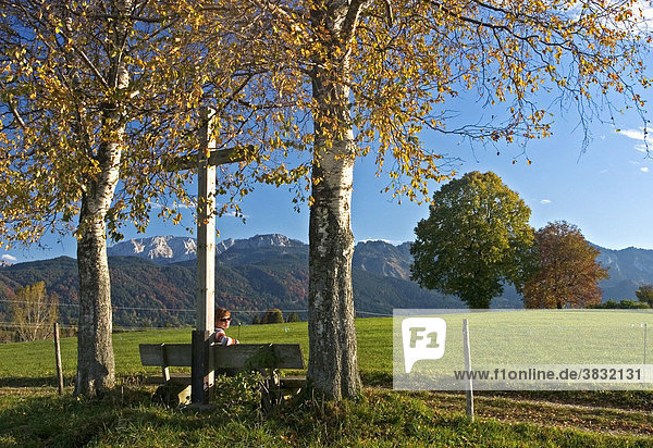 Wegkreuz unter herbstlichen Birken  Wanderer sitzt auf der Bank  Roßhaupten  Allgäu  Ostallgäu  Bayern  Deutschland  BRD  Europa