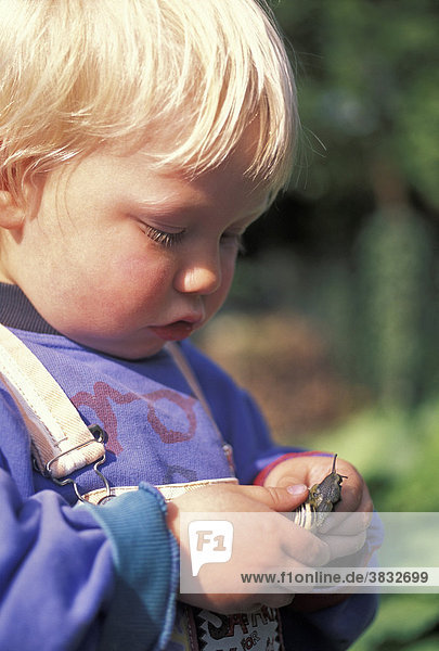 Two-year-old boy examinating snail MR