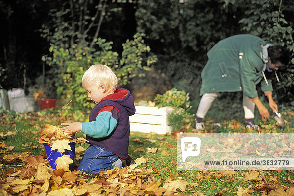 Zwei Jahre alter Junge sammelt Herbstlaub