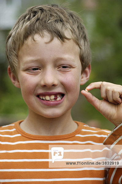 8 year old boy proudly holds his freshly fallen out milk tooth