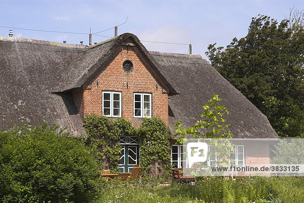 Typical thatched roofed house in Keitum  Sylt  Schleswig Holstein  Germany