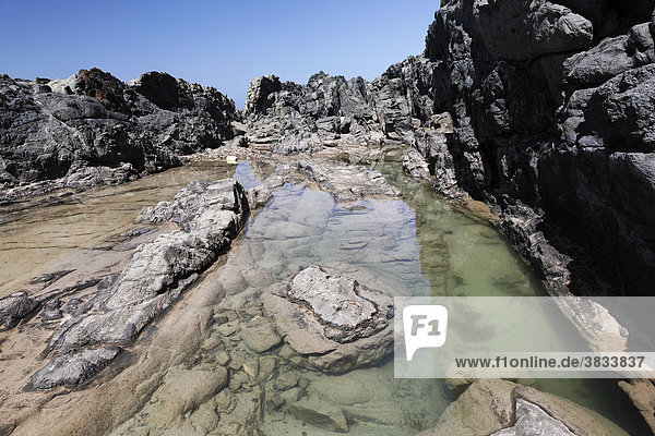 Gezeitentümpel in Felsküste in Aguas Verdes - Playa del Valle Fuerteventura Kanarische Inseln