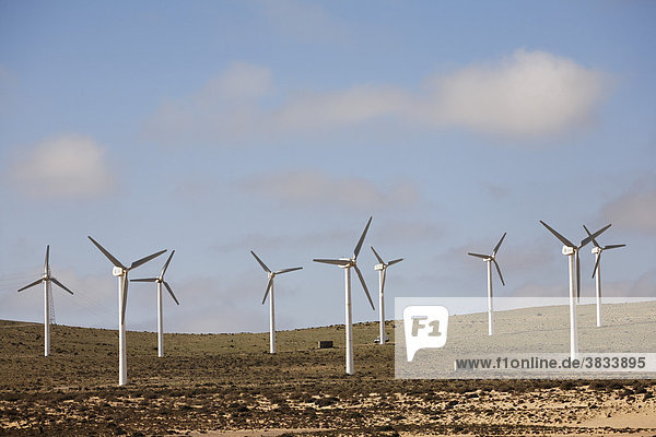 Windpark   Jandia   Fuerteventura   Kanarische Inseln