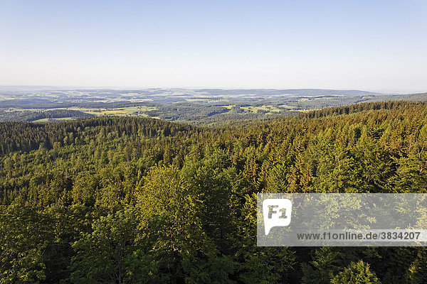 Steinwald   Blick von Burgruine Weißenstein   Oberpfalz Bayern