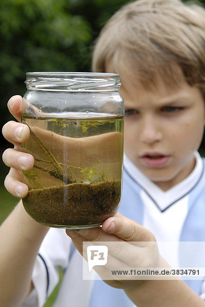 Boy observes his tadpoles in the glass