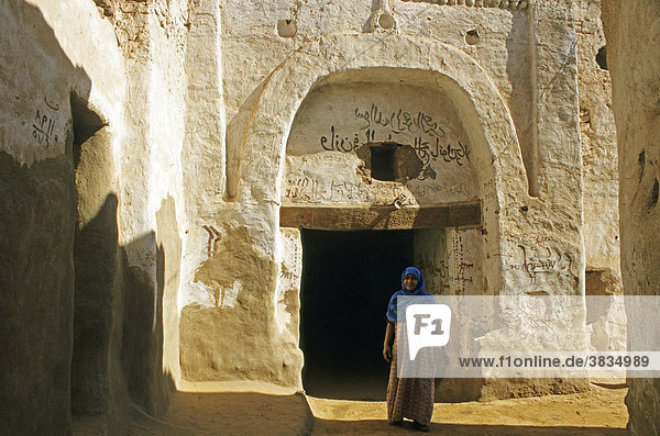 Leben in einer oase -new valley projekt bei muth ägypten