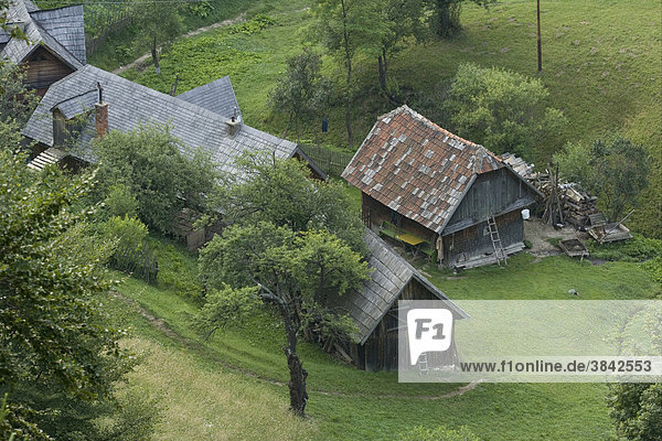 Traditional old farm buildings  with trees and pasture  Piatra Craiului Mountains  Southern Carpathians  Transylvania  Romania  Europe