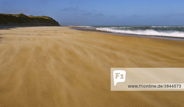 Wind-Erosion,  verwehter Sand am Strand,  Waipapa,  Catlins,  Südinsel,  Neuseeland