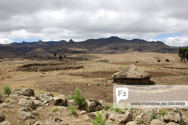 Traditionelles rundes Haus mit Viehhof  auf trockenem Berghang  Bale-Gebirge  Oromia  Äthiopien  Afrika
