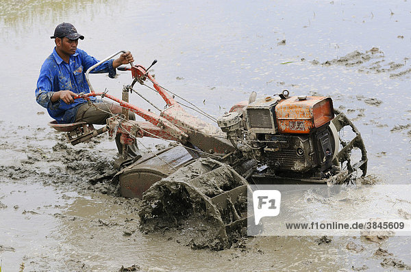 Mann bei der Arbeit  Reisfeld  Pflugmaschine  Vietnam  Asien