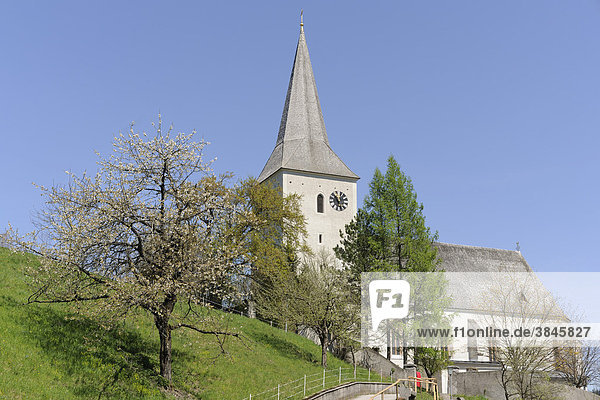 Pfarrkirche  Kaumberg  Triestingtal  Niederösterreich  Österreich  Europa