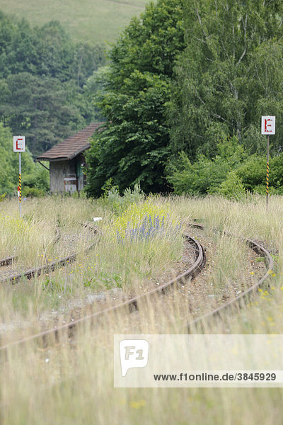 Stillgelegte Bahnstrecke  Kaumberg  Triestingtal  Niederösterreich  Österreich  Europa