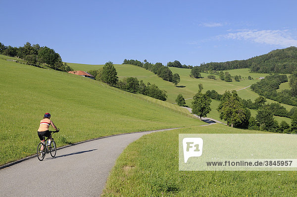 Gölsentalradweg  Auffahrt zum Gerichtsberg  Triestingtal  Niederösterreich  Österreich  Europa