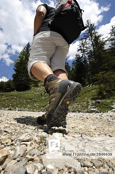 Junge Frau beim Wandern  Aufstieg zum Plumsjoch  Karwendelgebirge  Tirol  Österreich  Europa