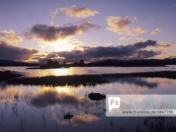 Loch Ba bei Sonnenaufgang  Rannoch Moor  Highlands  Schottland  Großbritannien  Europa