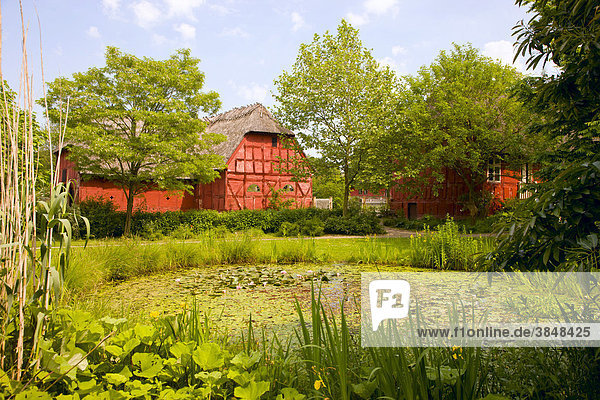 Alter roter Bauernhof am Dorfteich  Den Fynske Landsby Freilichtmuseum  Odense  Dänemark  Europa