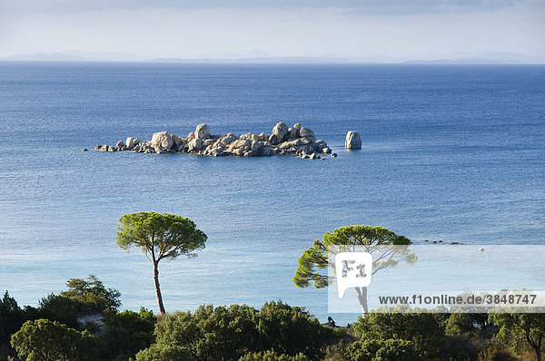 Felsinsel vor der Küste  Pinien  Palombaggia  Ostküste  Insel Korsika  Frankreich  Europa