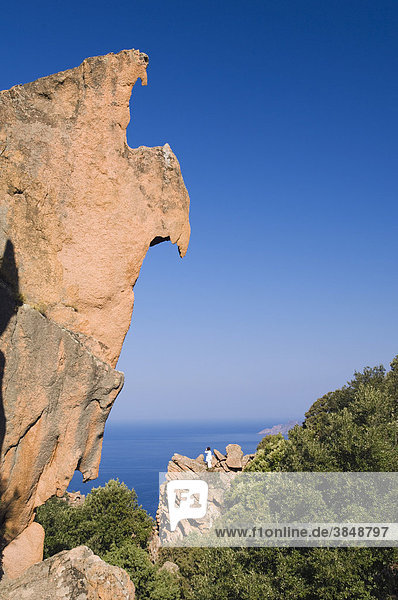 Rote Porphyrfelsen  Calanche de Piana  Golf von Porto  Insel Korsika  Frankreich  Europa