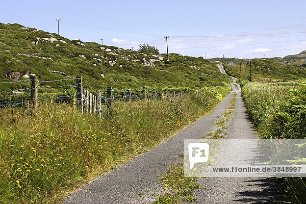 Straße in der irischen Landschaft  Connemara  Irland  Europa