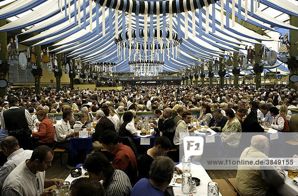 Spaten Bräu Festzelt  Bierzelt  Oktoberfest  München  Oberbayern  Deutschland  Europa
