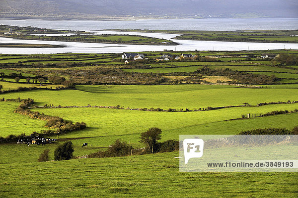 Ackerland und Küstenlandschaft  County Clare  Republik Irland  Europa