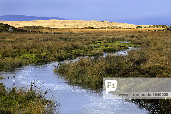 Landschaft mit Wasserlauf  Connemara  County Galway  Republik Irland  Europa