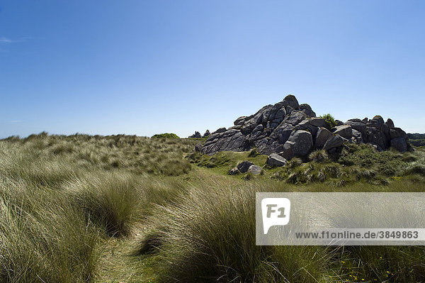 Dünen Keremma Finistere Bretagne Frankreich Europa