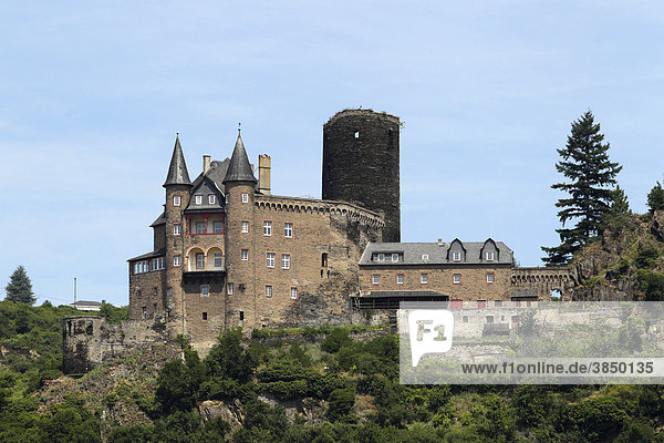 Burg Katz bei St. Goarshausen  Rheinland-Pfalz  Deutschland  Europa