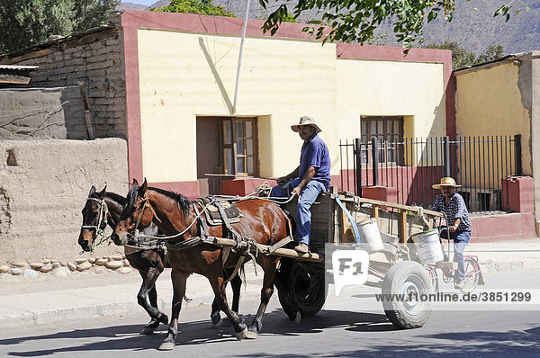 Horse and cart  horse-drawn carriage  bicycle  transportation  street scene  Vicuna  Valle d'Elqui  Elqui valley  La Serena  Norte Chico  northern Chile  Chile  South America