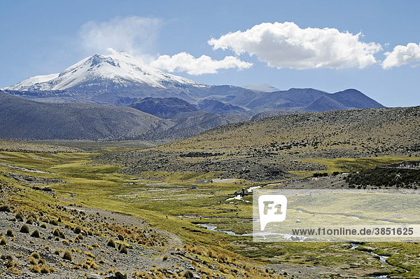 Guallatiri Vulkan  Flusslauf  grünes Tal  Dorf Guallatiri  Reserva Nacional de las Vicunas  Lauca Nationalpark  Altiplano  Norte Grande  Nordchile  Chile  Südamerika
