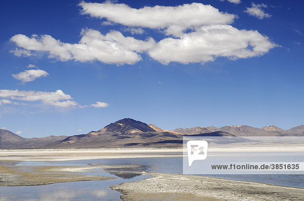 Salar de Surire  Salt Lake  Reserva Nacional de las Vicunas  Lauca National Park  Altiplano  Norte Grande  Northern Chile  Chile  South America