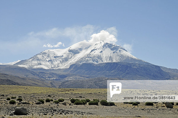 Guallatiri Volcano  Reserva Nacional de las Vicunas  Lauca National Park  Altiplano  Norte Grande  Northern Chile  Chile  South America