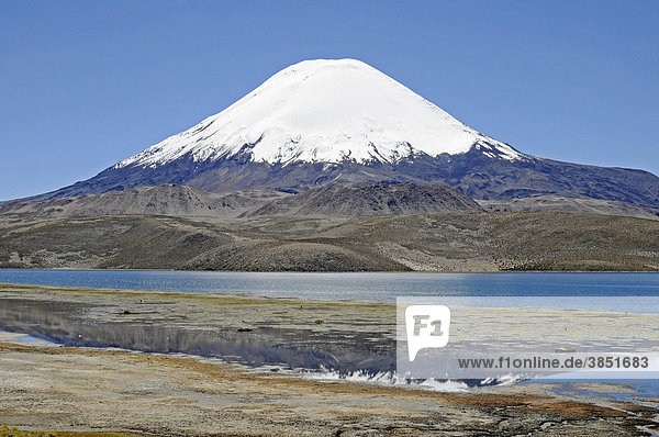 Parinacota Volcano  Lake Chungara  Lauca National Park  Altiplano  Norte Grande  Northern Chile  Chile  South America
