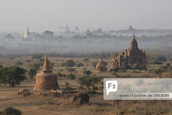 Pagoden mit Nebel am Morgen  Bagan  Myanmar  Asien