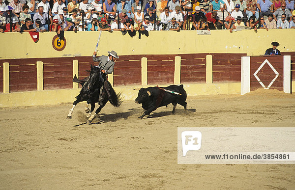 Bullfighting  Rejoneador on horseback  chased by bull with banderillas  Spain  Europe