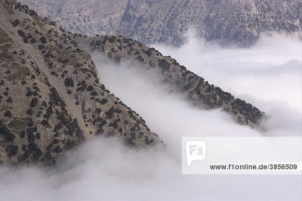 Mountain slopes and valley mist  Samaria Gorge  Samaria Gorge National Park  White Mountains  Crete  Greece  Europe