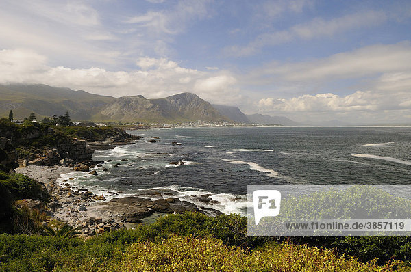 Blick auf Walker Bay Bucht  Hermanus  Western Cape Provinz  Westkap  Südafrika  Afrika