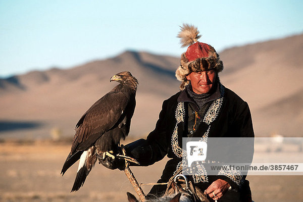 Kazakh eagle hunter with a Golden eagle (Aquila chrysaetos)  Golden Eagle Festival  Bayan Oelgii  Altai Mountains  Mongolia  Asia